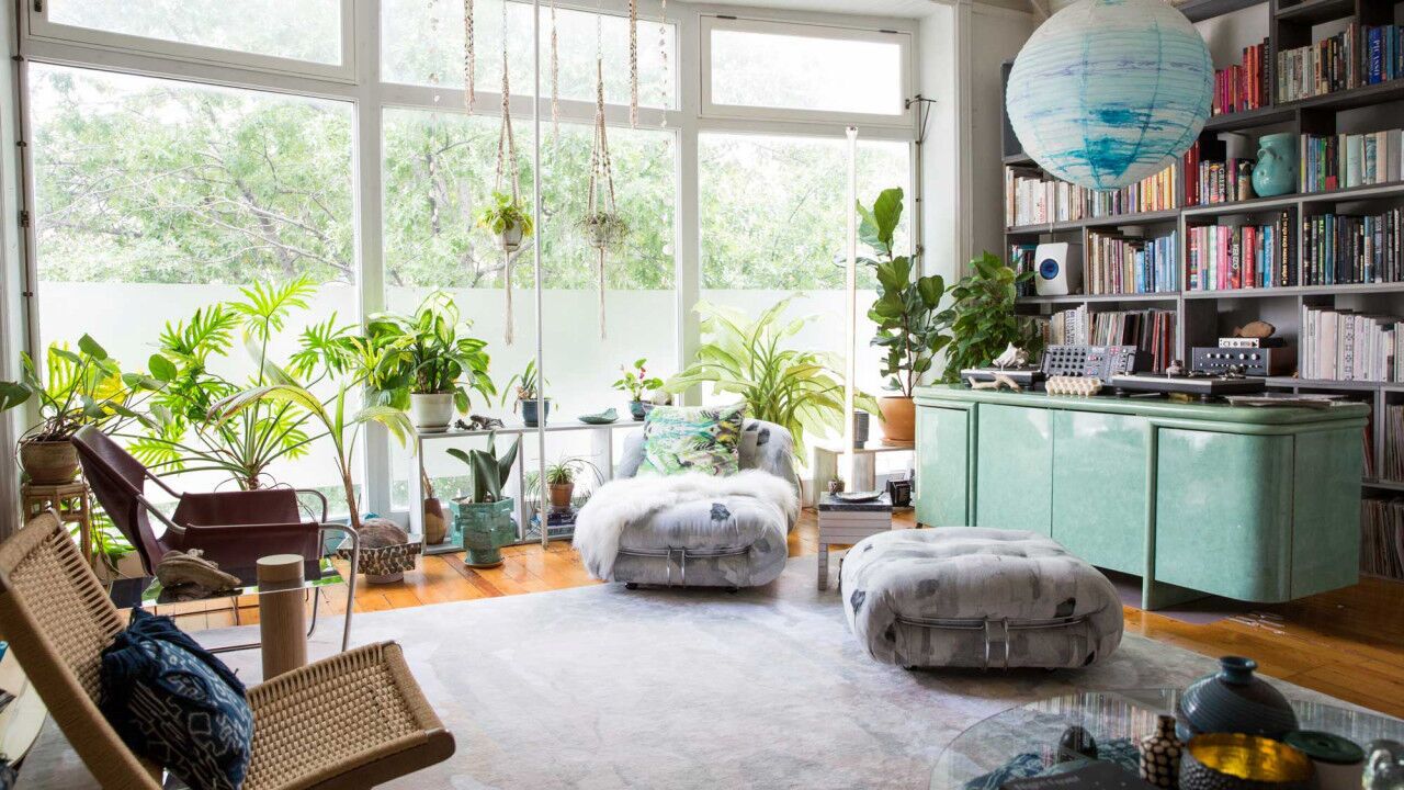 تأثیر پنهان آلودگی هوای خانه: گیاهانی که مانند فیلتر اکسیژن عمل می‌کنند.