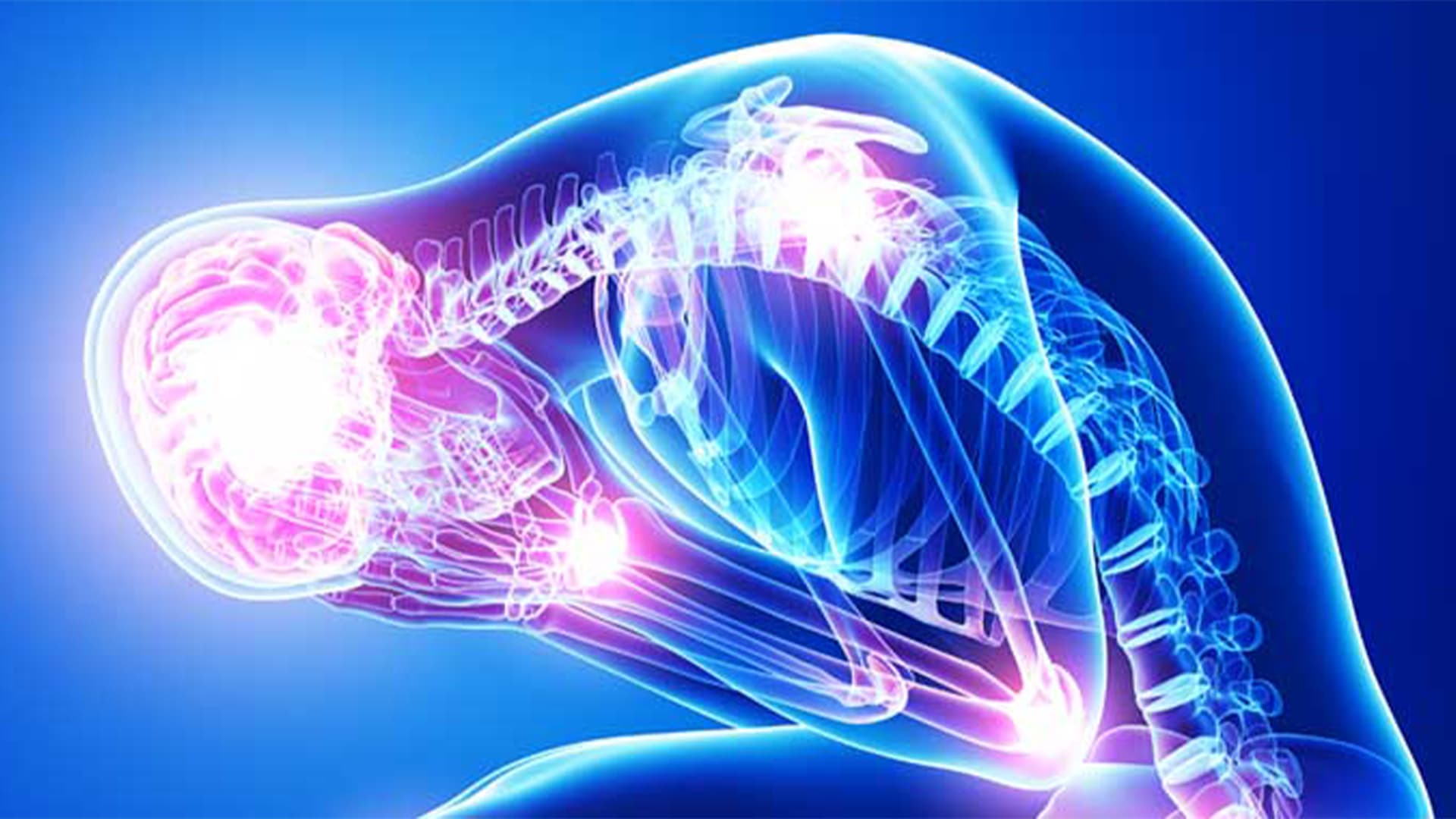 بدن چگونه به استرس پاسخ می‌دهد